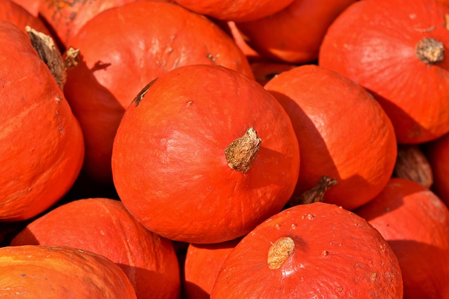 oranžové dýně